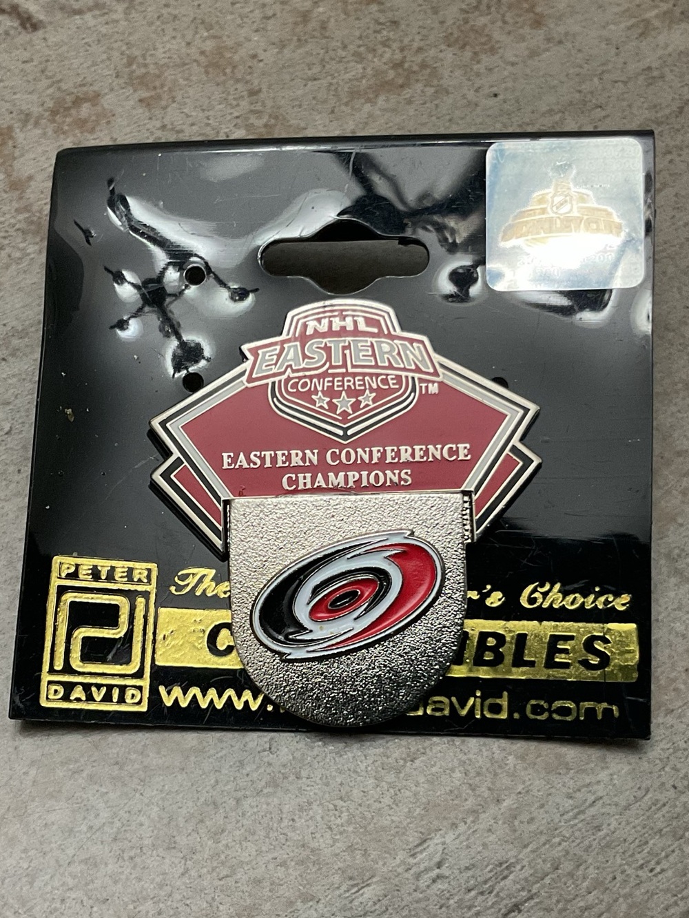 Carolina Hurricanes Eastern Conference Champions Pin
